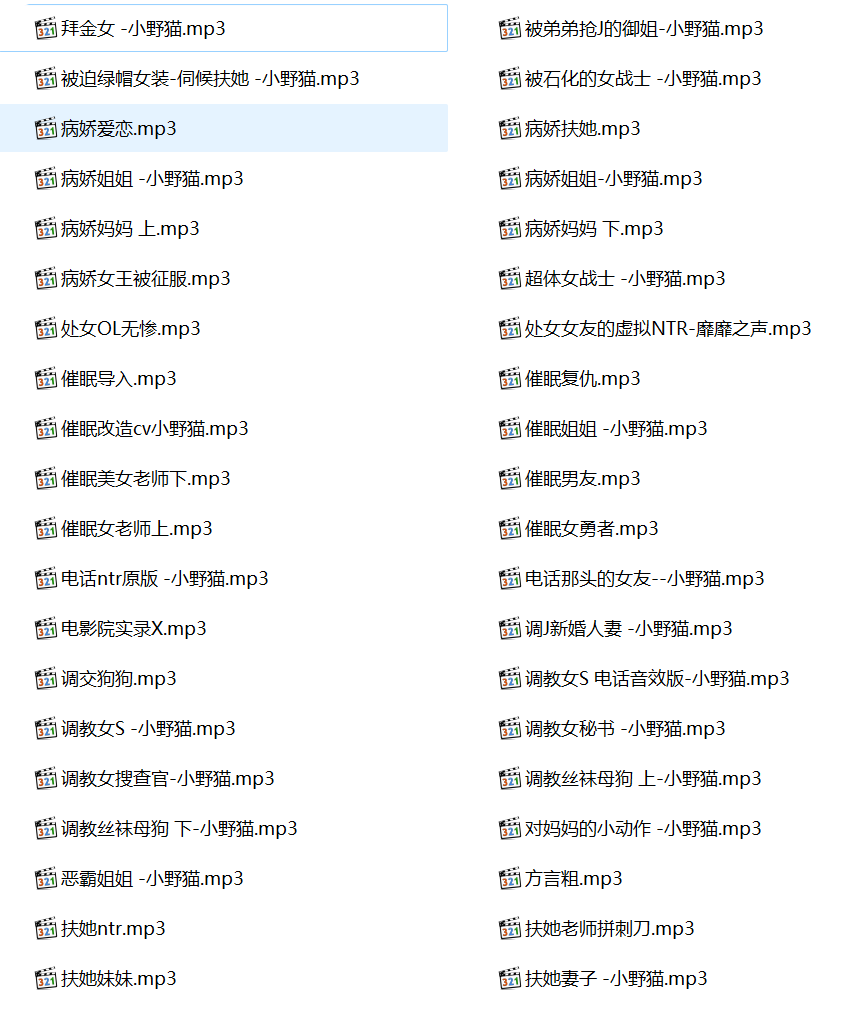 中文音声,ASMR社区,中文音声,小野猫,小野猫有声小说合集,小野猫有声