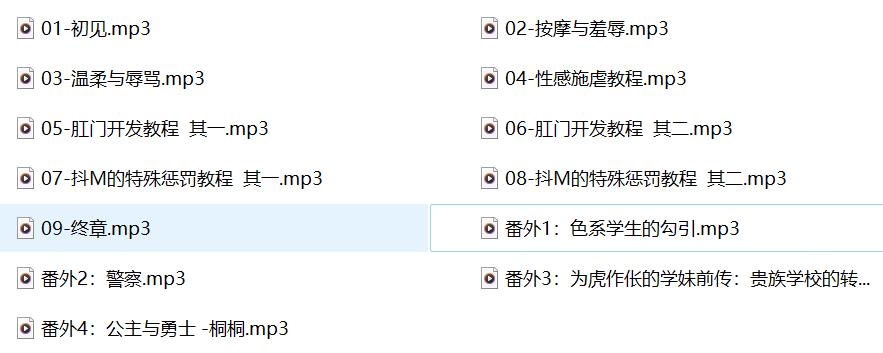 成人有声小说，成人有声小说在线听,激情有声小说，无名音声社