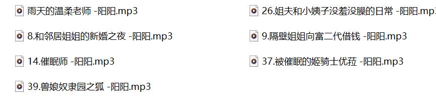 成人有声小说，成人有声小说在线听,激情有声小说，无名音声社